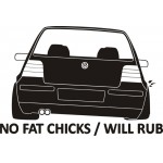 NO FAT CHICKS 2